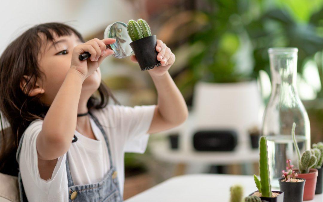 Montessori Curriculum + Activities = Value You Can See